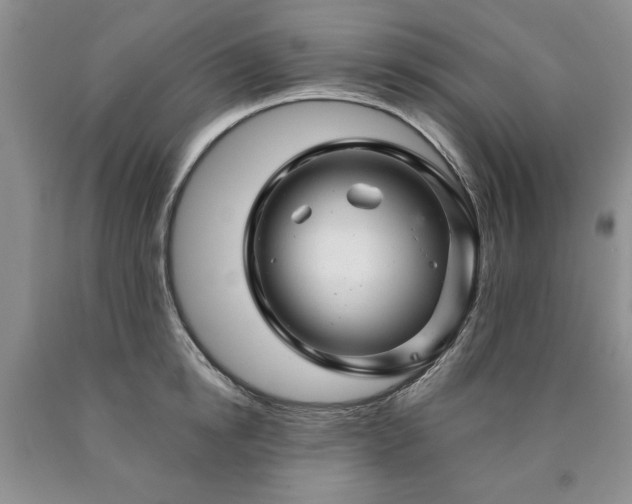 X0000090440854200707201251