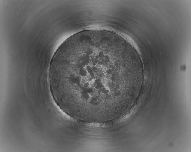 X0000090440855200707201251