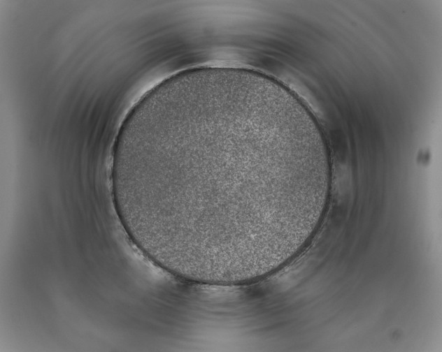 X0000090440856200707201251