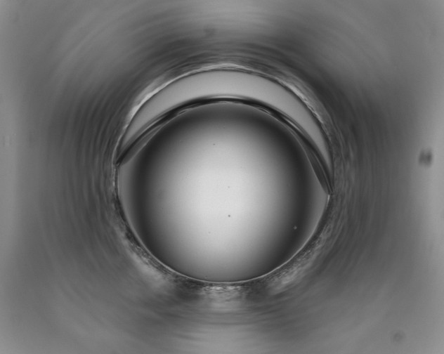 X0000090440858200707201251