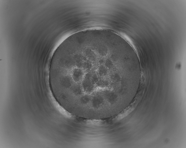 X0000090440859200707201251