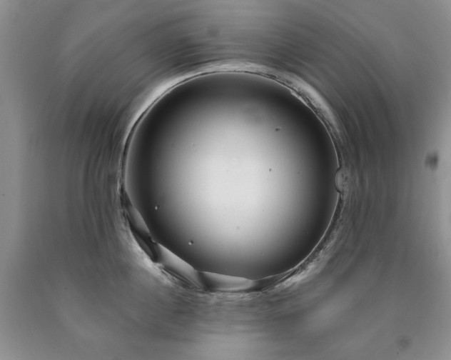 X0000090440860200707201251