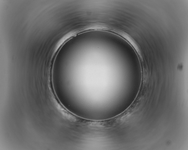 X0000090440861200707201251