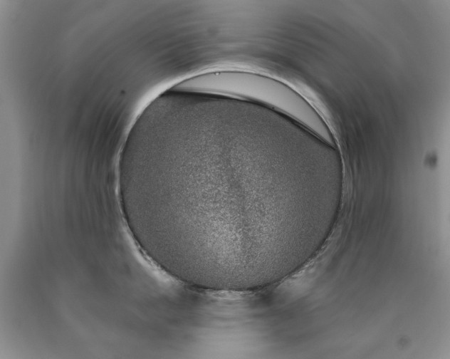 X0000090440862200707201251