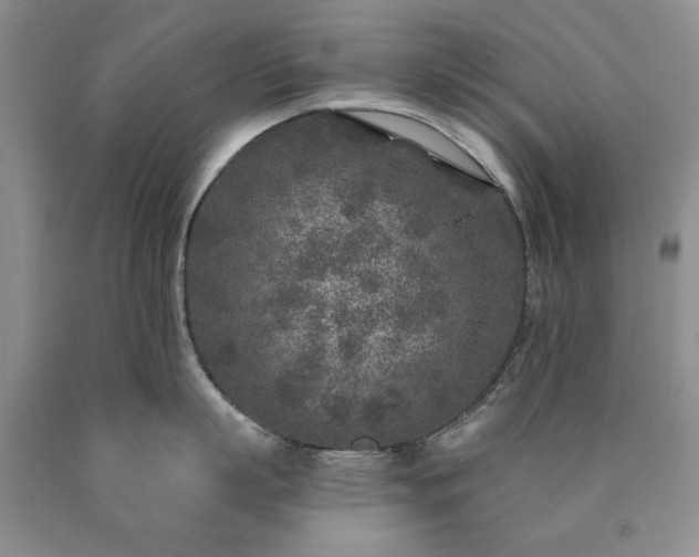 X0000090440863200707201251