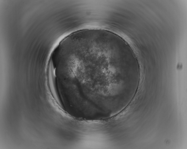 X0000090440864200707201251