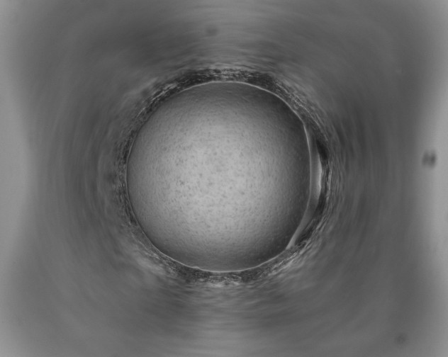 X0000090440865200707201251