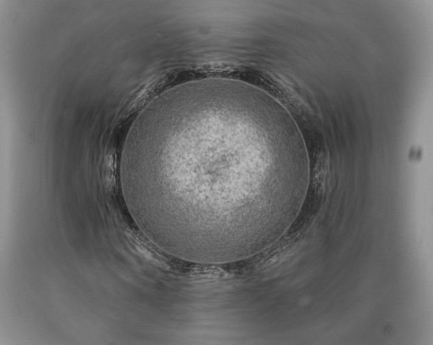 X0000090440866200707201251