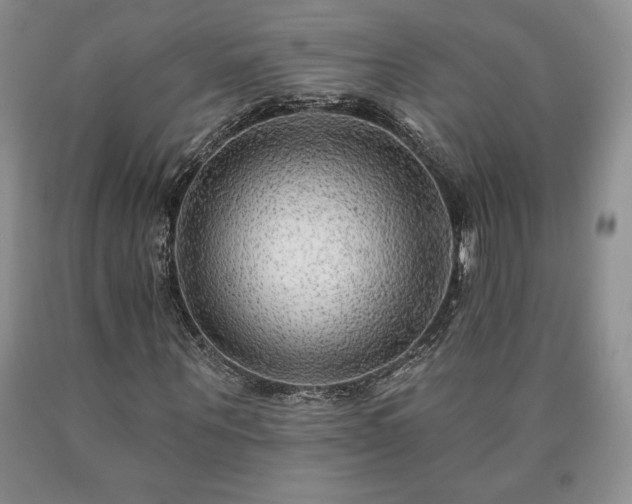 X0000090440867200707201251