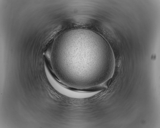 X0000090440868200707201251