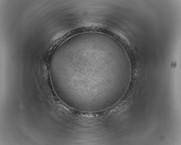 X0000090440869200707201251