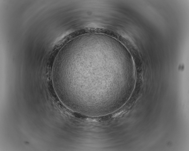 X0000090440870200707201251