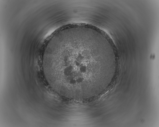 X0000090440871200707201251