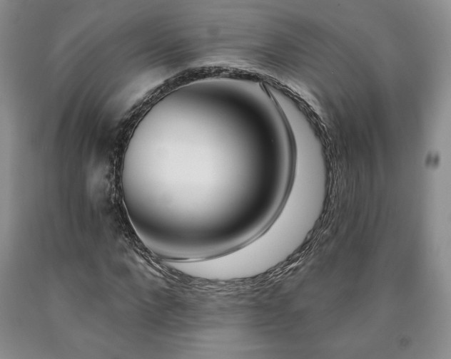 X0000090440872200707201251