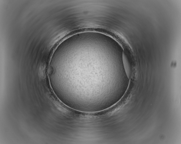 X0000090440873200707201251