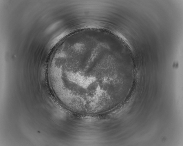 X0000090440874200707201251