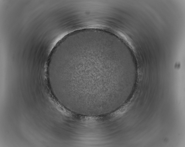 X0000090440875200707201251