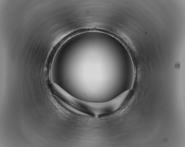 X0000090440876200707201251