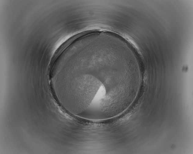 X0000090440877200707201251