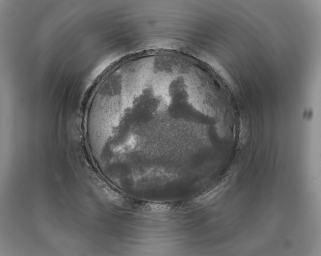 X0000090440878200707201251