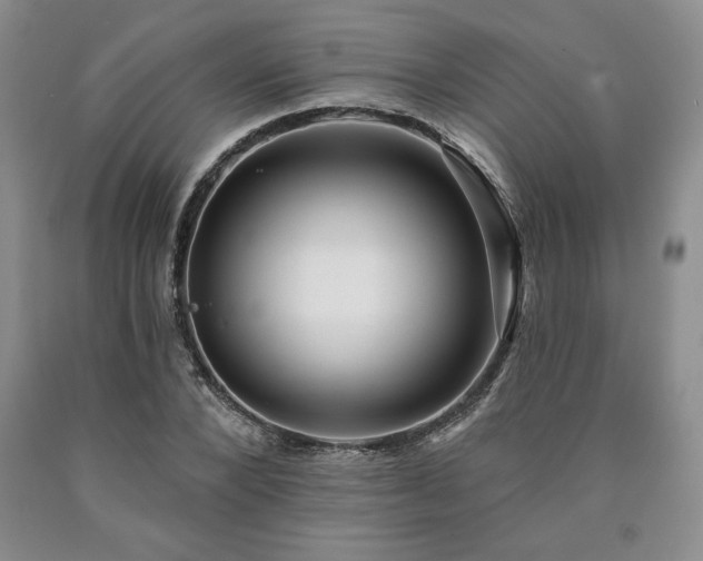 X0000090440880200707201251