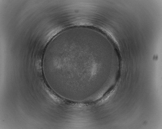 X0000090440881200707201251