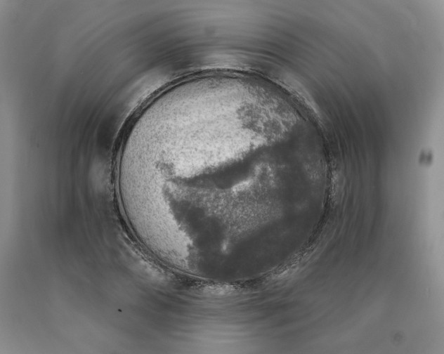 X0000090440882200707201251