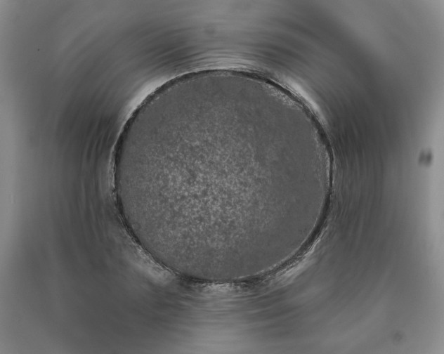 X0000090440883200707201250