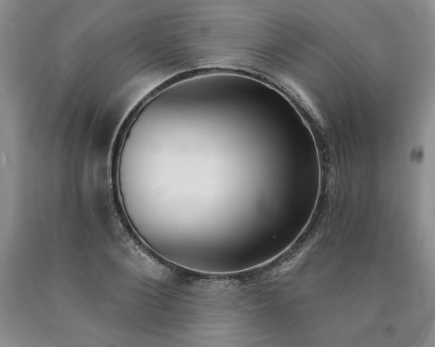 X0000090440884200707201250