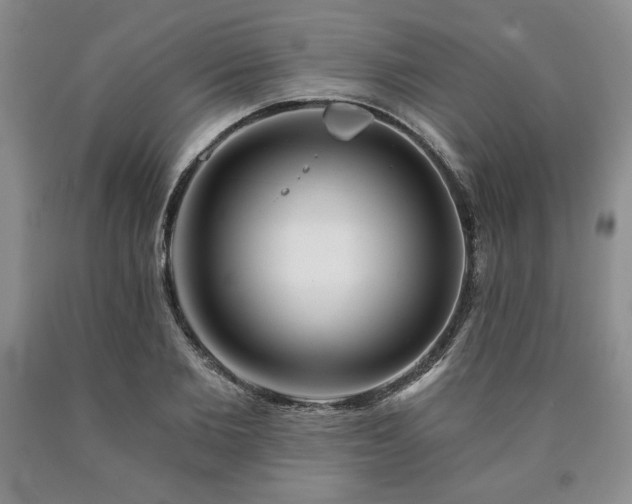 X0000090440885200707201250