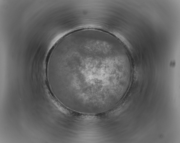 X0000090440886200707201250