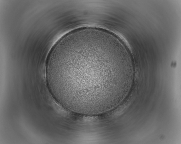 X0000090440887200707201250