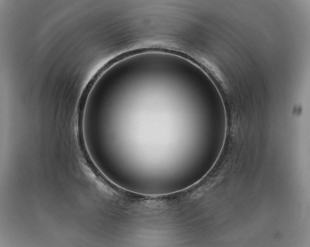 X0000090440888200707201250