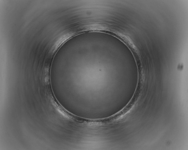 X0000090440889200707201250