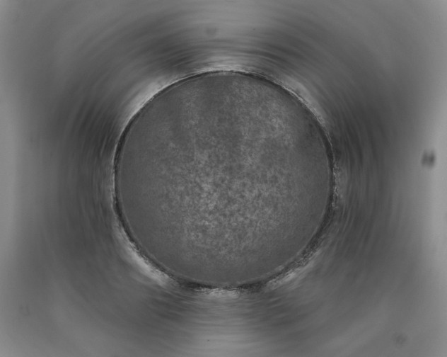 X0000090440890200707201250