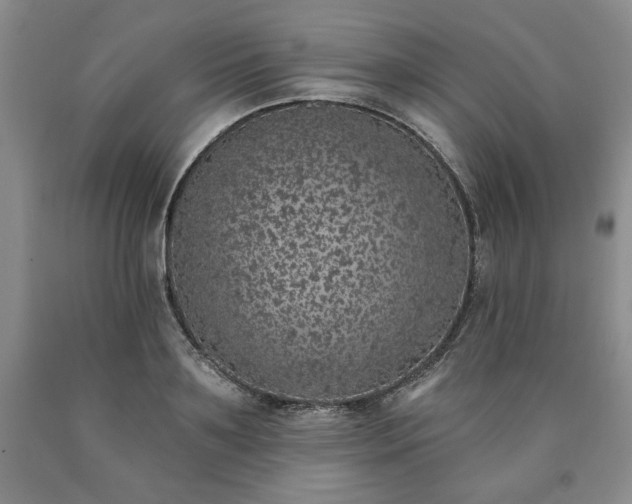 X0000090440891200707201250