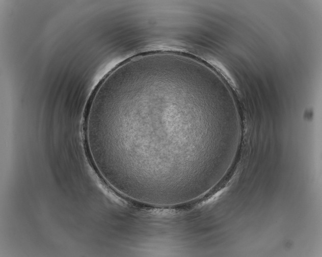 X0000090440893200707201250