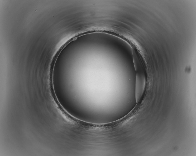 X0000090440894200707201250