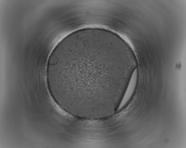 X0000090440895200707201250