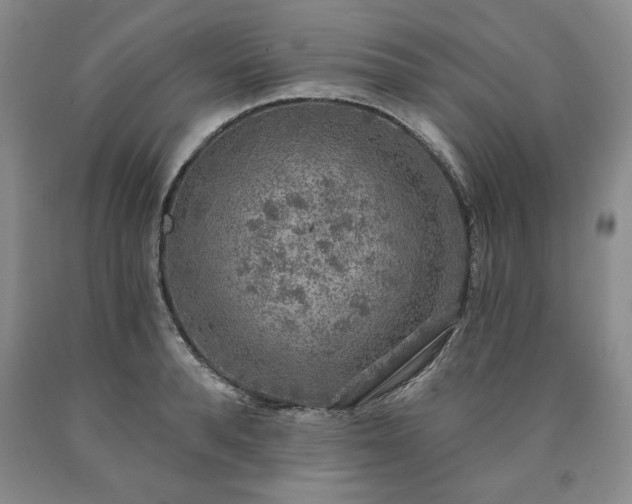 X0000090440896200707201250