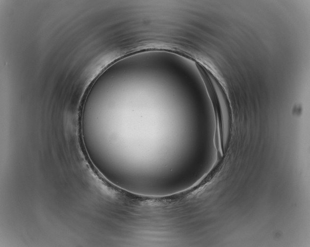 X0000090440898200707201250