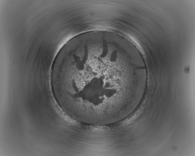 X0000090440899200707201250