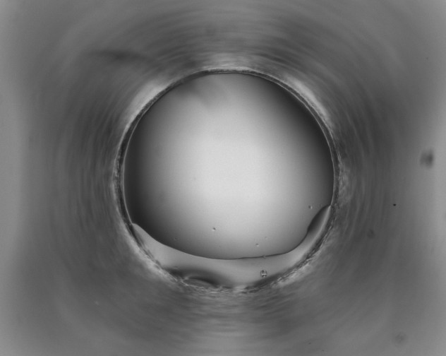 X0000090440901200707201250