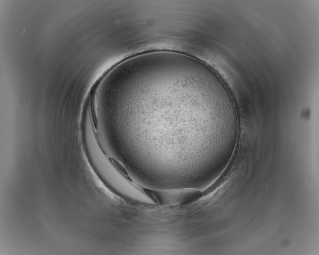 X0000090440902200707201250