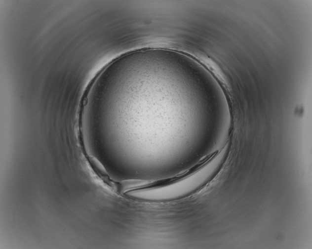 X0000090440904200707201250