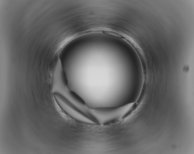 X0000090440905200707201250