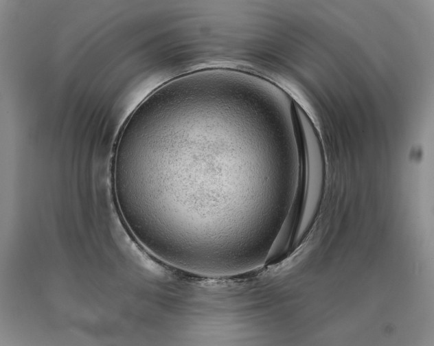 X0000090440906200707201250