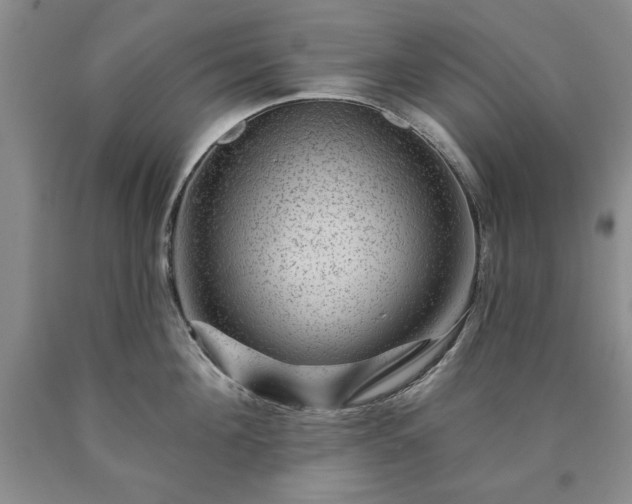 X0000090440908200707201250