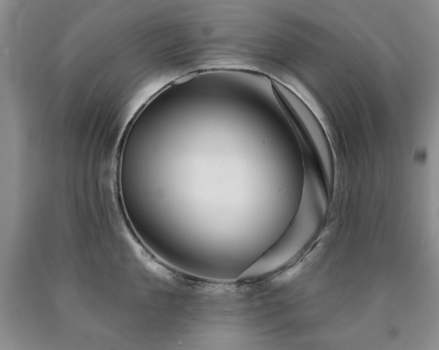 X0000090440909200707201250