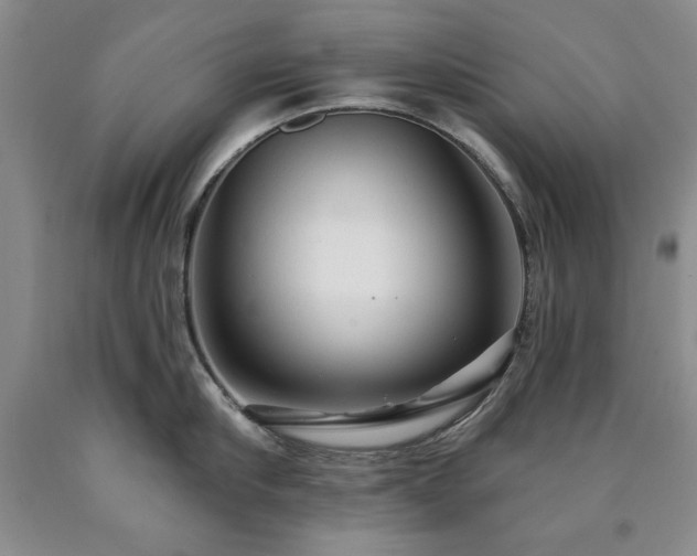 X0000090440910200707201250